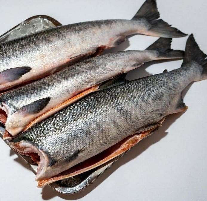 savvalaslasis3