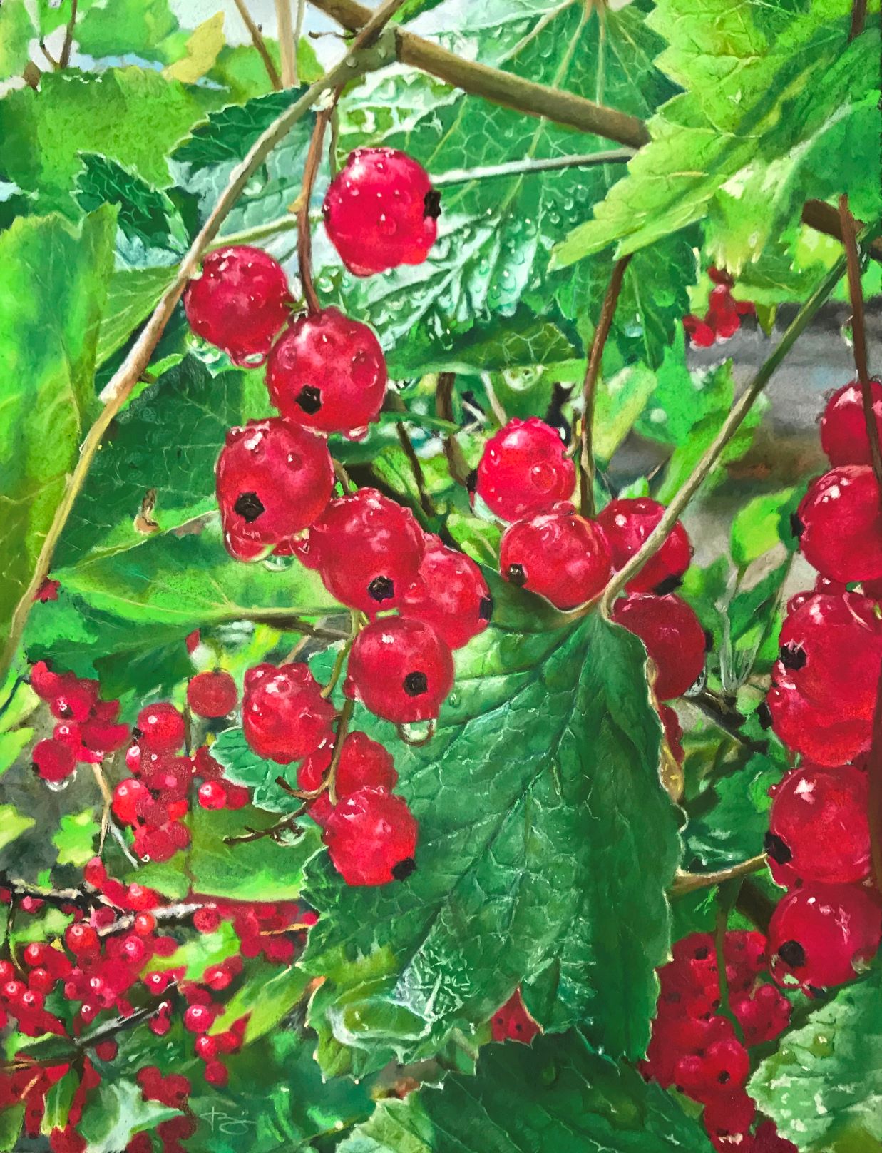 v.markevich2